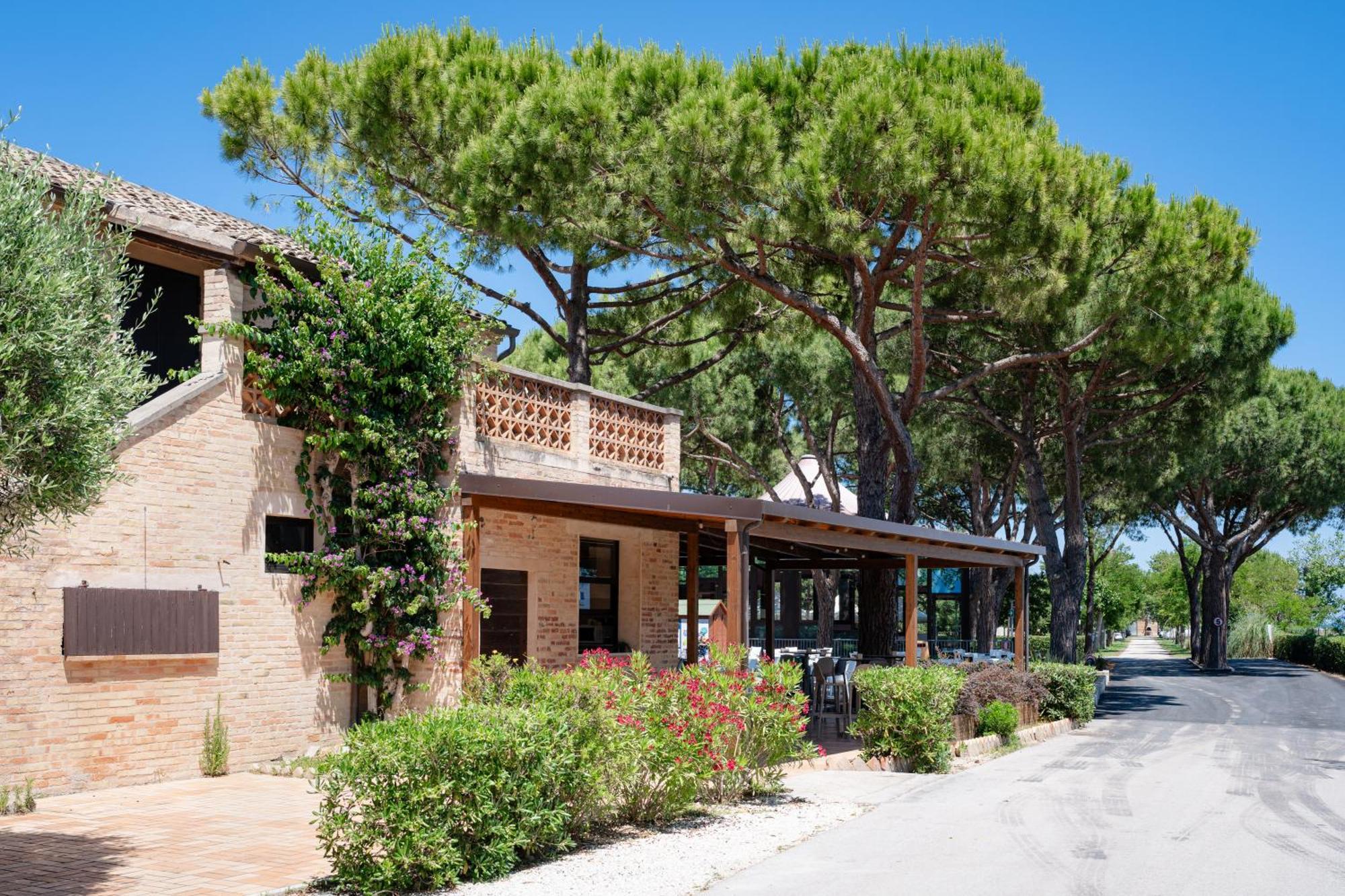 Club Del Sole La Risacca Family Collection Otel Porto SantʼElpidio Dış mekan fotoğraf